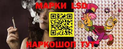 mdma Гатчина