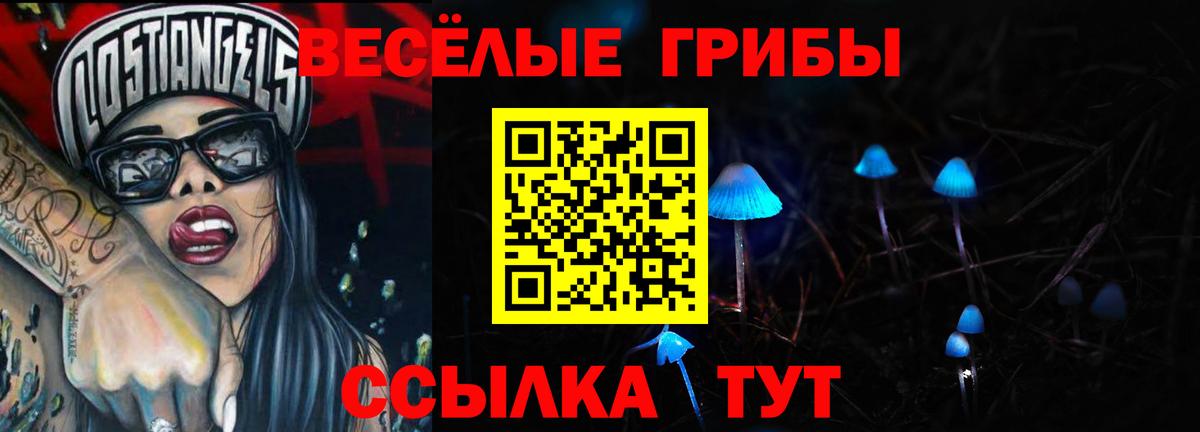 где можно купить   Псилоцибиновые грибы Cubensis  Вход с VPN  Новоуральск  Псилоцибиновые грибы MAGIC MUSHROOMS 